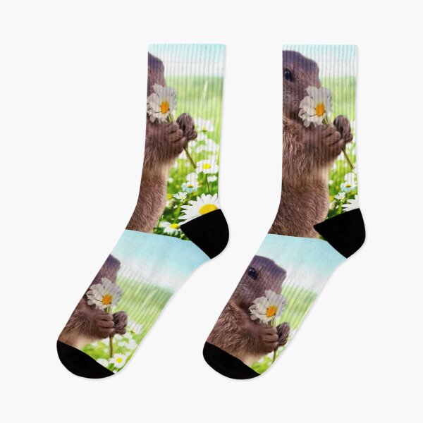 Item preview, Squirrel and daisy designed and sold by ElhaChBa.