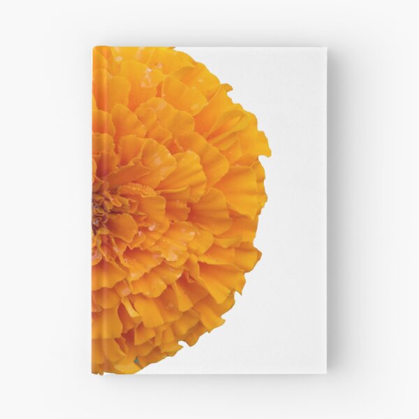 Item preview, caléndula naranja designed and sold by VanyGo.