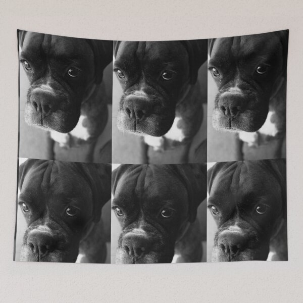 Item preview, Can't You Tell... It wasn't Me... - Boxer Dogs Series designed and sold by Evita.