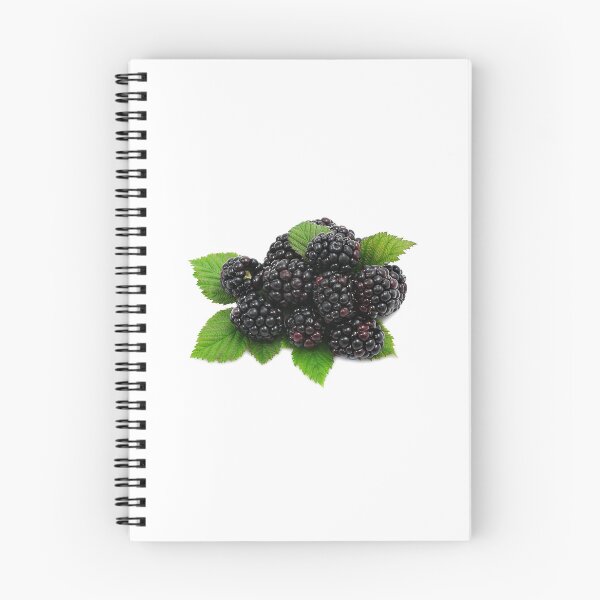 Item preview, Blueberry fruits designed and sold by Iwa Dolinga.