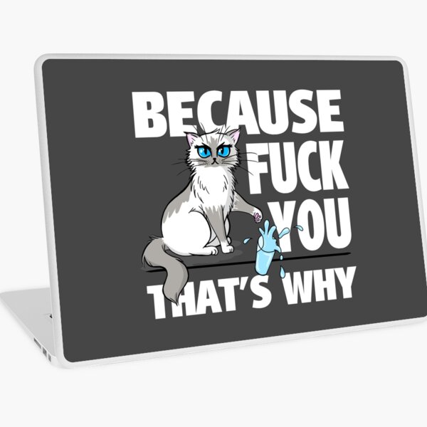 Macbook Air 13" (2015)
