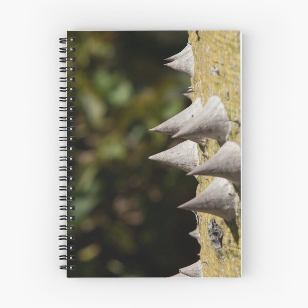 Item preview, Ceiba Speciosa or Silk Floss Tree designed and sold by chrismelinafrnk.