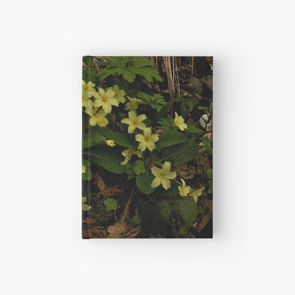 Primrose, Drumlamph Wood, County Derry Hardcover Journal