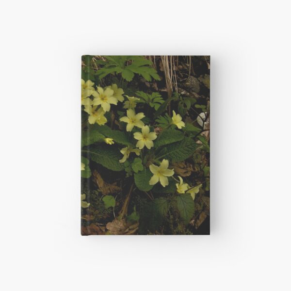Primrose, Drumlamph Wood, County Derry Hardcover Journal