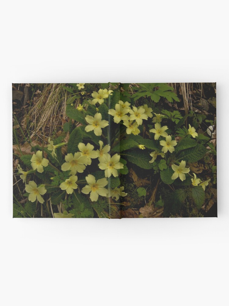 Alternate view of Primrose, Drumlamph Wood, County Derry Hardcover Journal