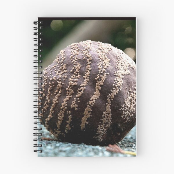 Item preview, New Planet??? designed and sold by Billlee.