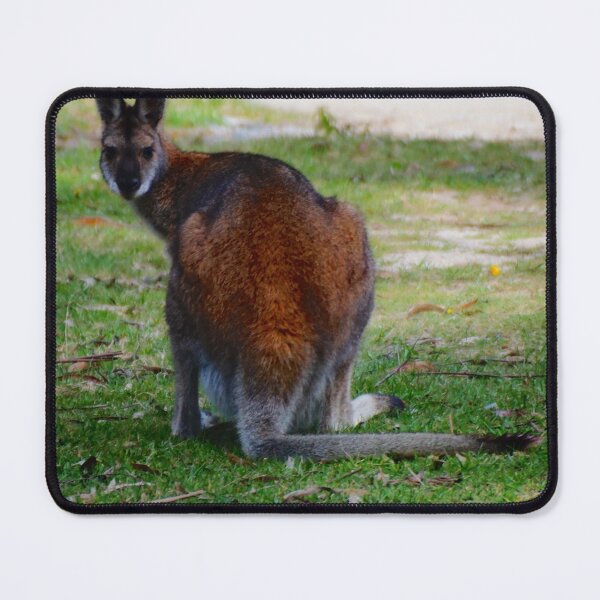 Item preview, Wallaby in the Wild designed and sold by D-GaP.