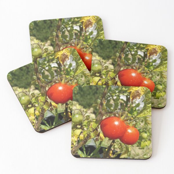 Aperçu de l'œuvre TRAVAIL DE LA TOMATE créée et vendue par 81BCLaLa.