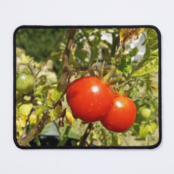 Item preview, TOMATOWORK designed and sold by 81BCLaLa.