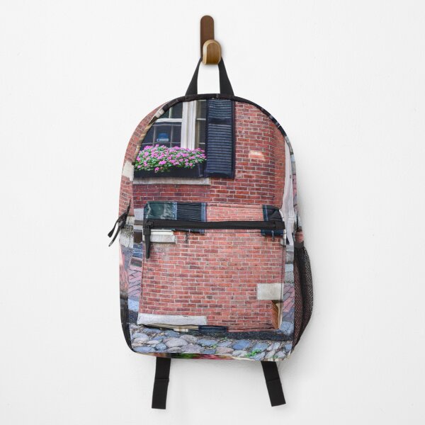Item preview, Back Bay, Boston, Massachusetts designed and sold by newburyboutique.