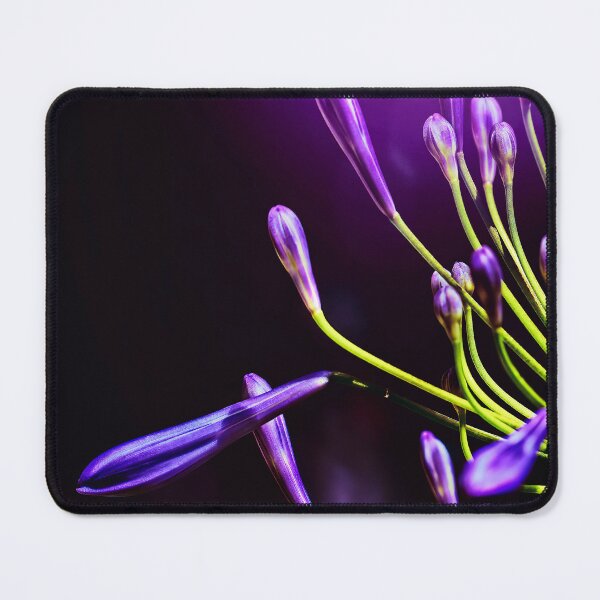 Item preview, Agapanthus In the Shadows designed and sold by Kay Brewer.