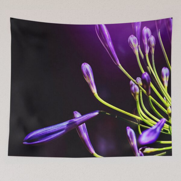 Item preview, Agapanthus In the Shadows designed and sold by Kay Brewer.