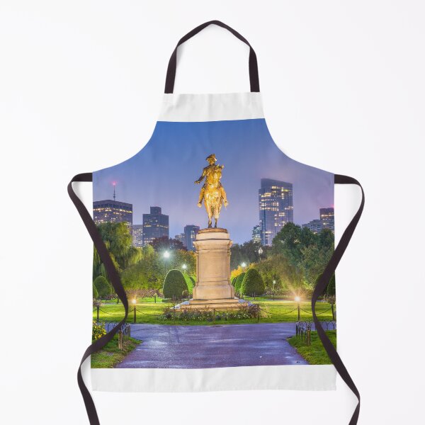 Item preview, Boston Public Garden, Boston, Massachusetts designed and sold by newburyboutique.