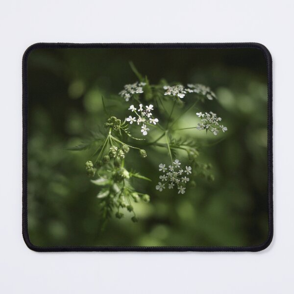 Item preview, Looking - A View  designed and sold by Carl Gaynor.