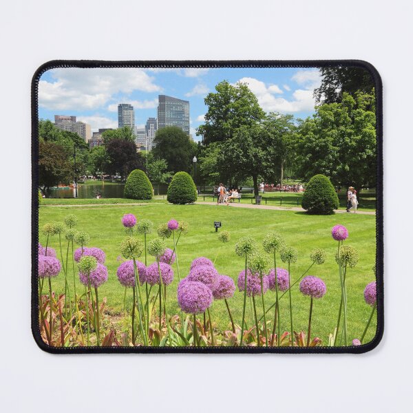 Item preview, Boston Public Garden, Boston, Massachusetts designed and sold by newburyboutique.