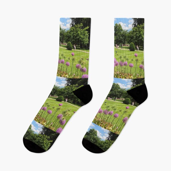 Item preview, Boston Public Garden, Boston, Massachusetts designed and sold by newburyboutique.