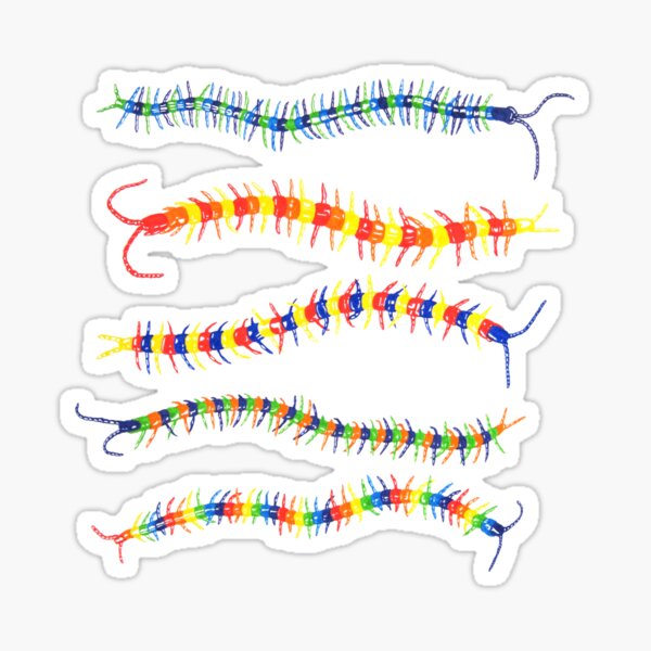 Colorwheel Centipedes Sticker