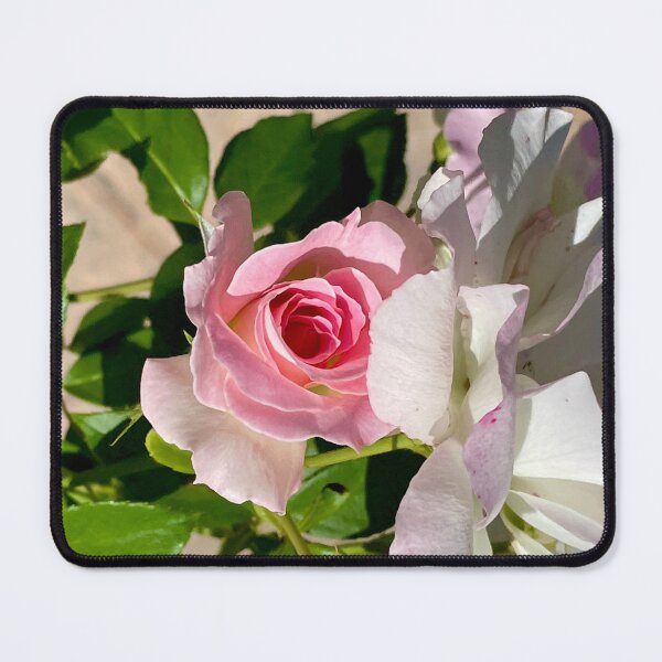 Item preview, The Old and the New Barely Blush Bush designed and sold by KazM.