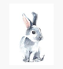 Moon Rabbit II Photographic Print