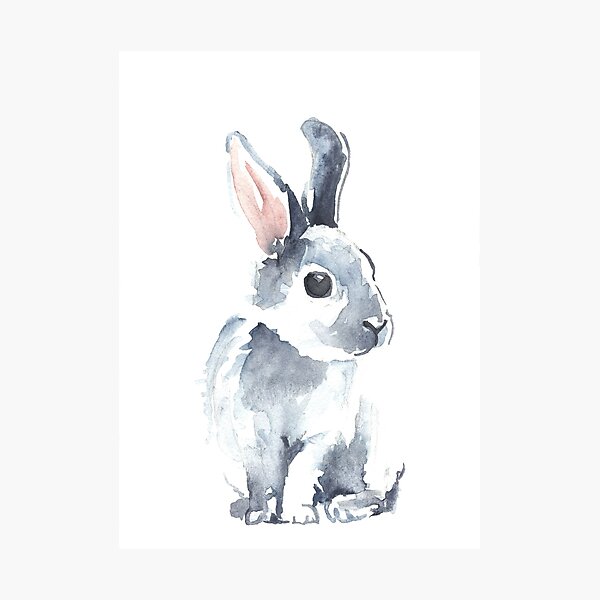 Moon Rabbit II Photographic Print