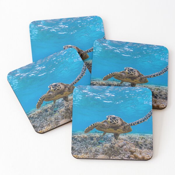 Item preview, Hawksbill Turtle designed and sold by colindavisphoto.