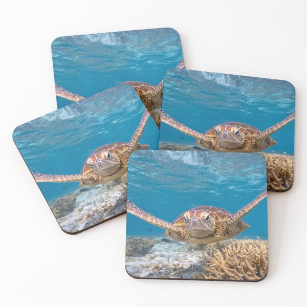 Item preview, Cruising Green Turtle designed and sold by colindavisphoto.