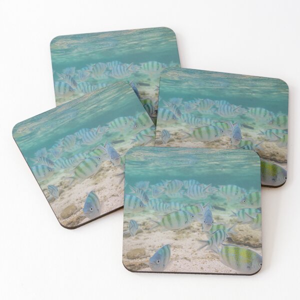 Item preview, Scissortail Sergeants designed and sold by colindavisphoto.