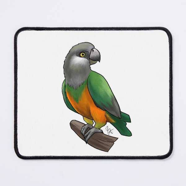 Item preview, Senegal Parrot - Orange Belly designed and sold by Jennifer Stolzer.
