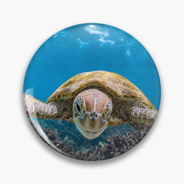 Item preview, Smiling Green Turtle designed and sold by colindavisphoto.