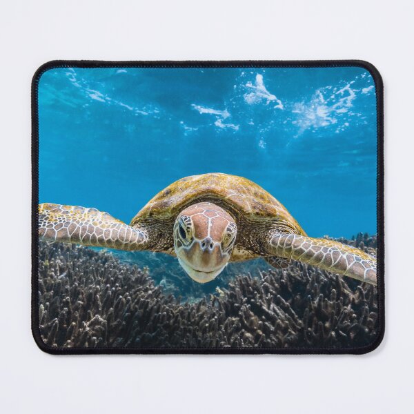 Item preview, Smiling Green Turtle designed and sold by colindavisphoto.