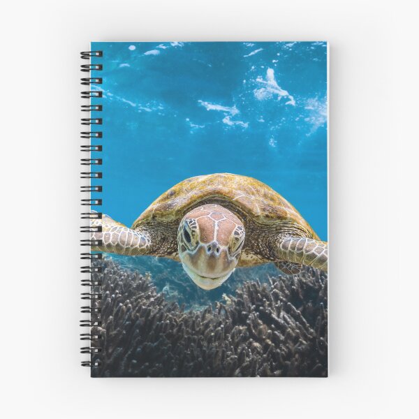 Item preview, Smiling Green Turtle designed and sold by colindavisphoto.