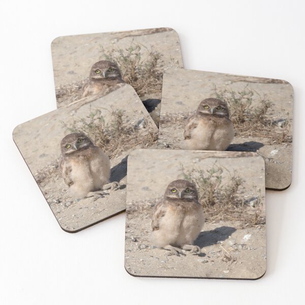 Item preview, Cute Young Burrowing Owl Taking A Rest designed and sold by CarolM.
