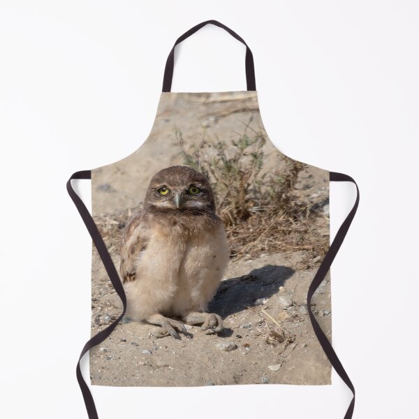 Item preview, Cute Young Burrowing Owl Taking A Rest designed and sold by CarolM.