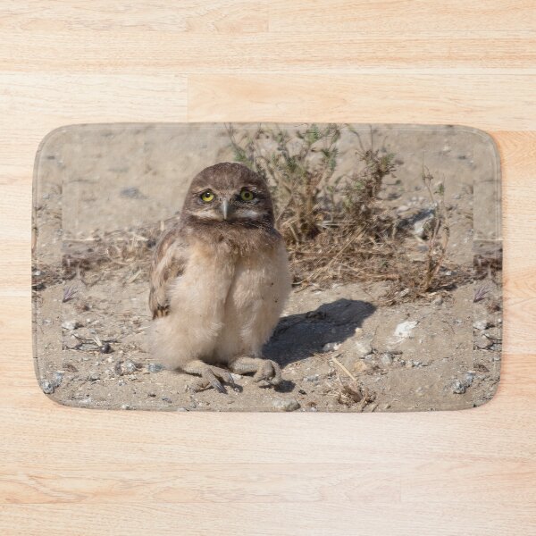 Item preview, Cute Young Burrowing Owl Taking A Rest designed and sold by CarolM.