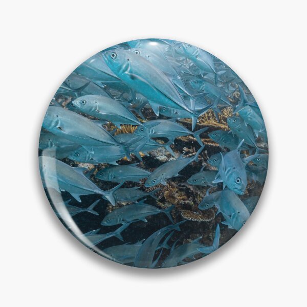 Item preview, Fishy Fishy Fishy designed and sold by colindavisphoto.