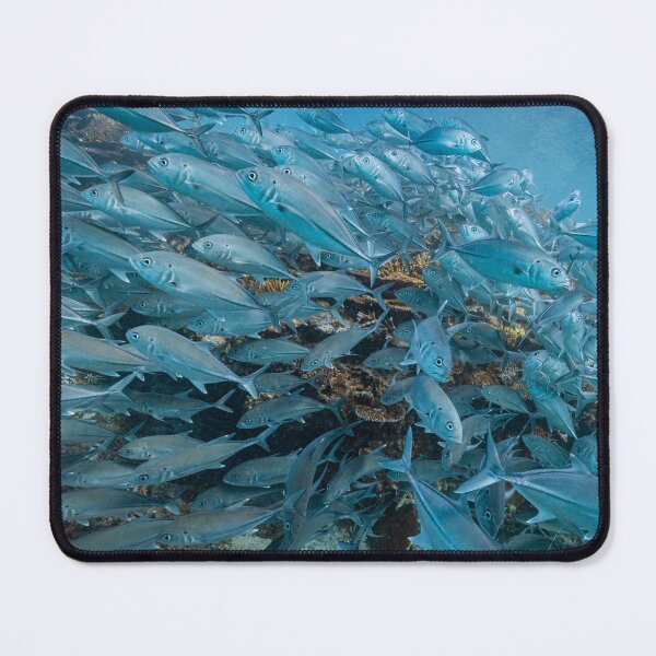 Item preview, Fishy Fishy Fishy designed and sold by colindavisphoto.