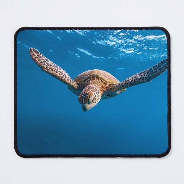Item preview, Swimming Green Turtle designed and sold by colindavisphoto.