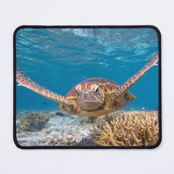 Item preview, Cruising Green Turtle designed and sold by colindavisphoto.