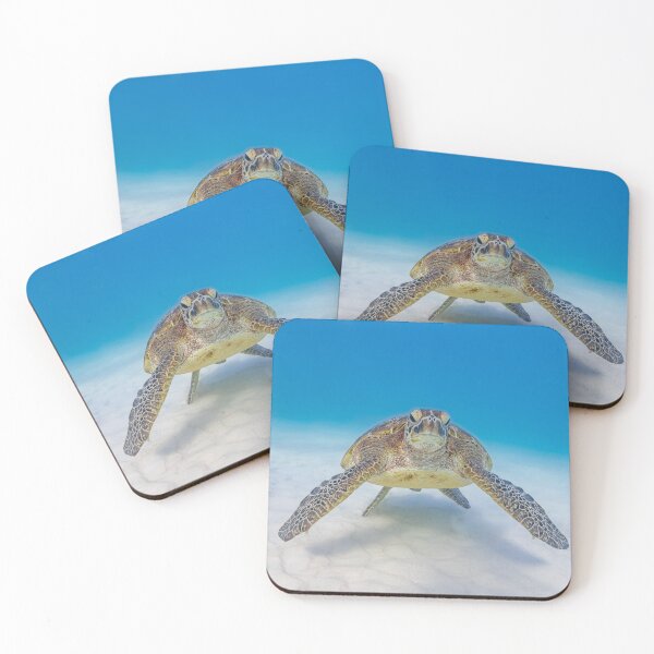 Item preview, Big Green Turtle designed and sold by colindavisphoto.