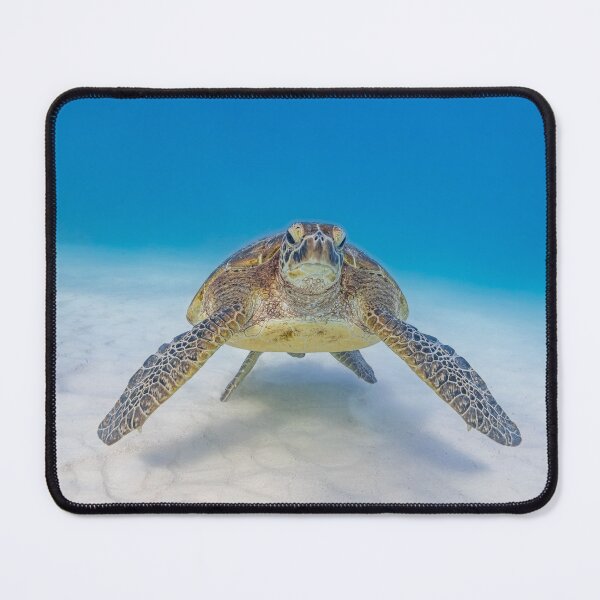 Item preview, Big Green Turtle designed and sold by colindavisphoto.