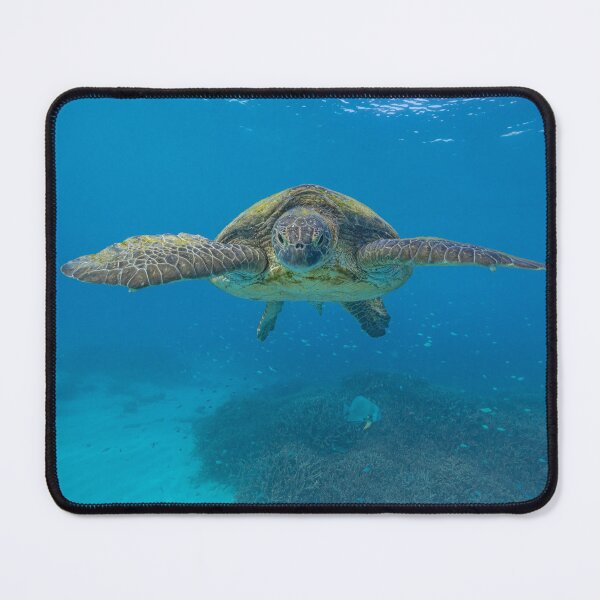 Item preview, Old Green Turtle designed and sold by colindavisphoto.