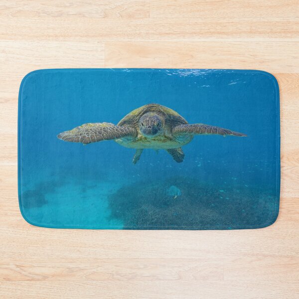 Item preview, Old Green Turtle designed and sold by colindavisphoto.