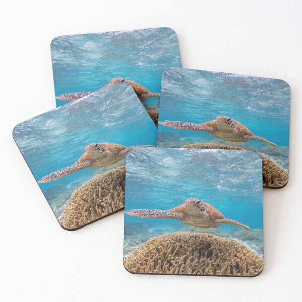 Item preview, Turtle designed and sold by colindavisphoto.
