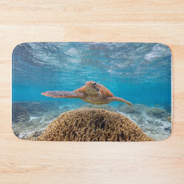 Item preview, Turtle designed and sold by colindavisphoto.