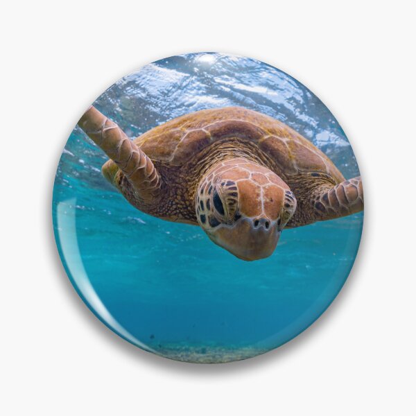 Item preview, Diving Turtle designed and sold by colindavisphoto.