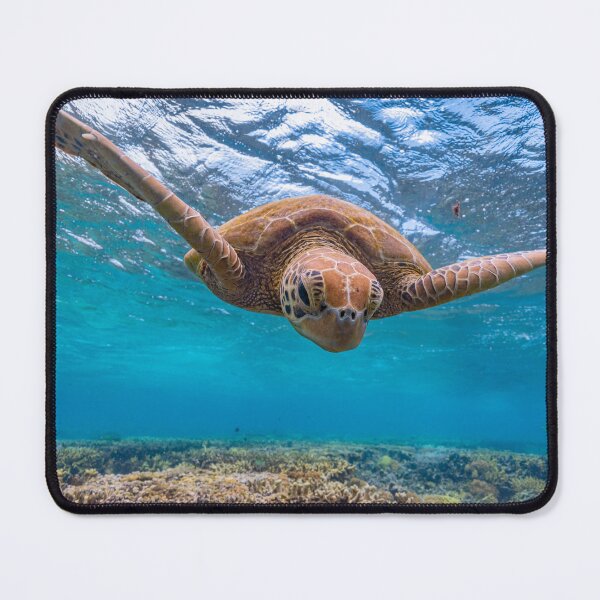 Item preview, Diving Turtle designed and sold by colindavisphoto.