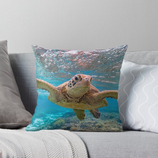 Item preview, Happy Turtle designed and sold by colindavisphoto.