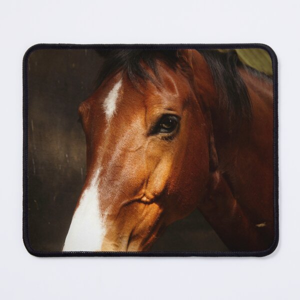 Item preview, Bay horse in stable1 designed and sold by Jaycee2009.