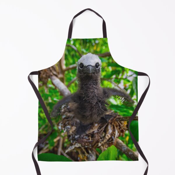 Item preview, Baby Noddy Chick designed and sold by colindavisphoto.