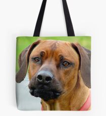 Aww.. You've Got Chooks Running Round Your Yard - Rhodesian Ridgeback - NZ Tote Bag